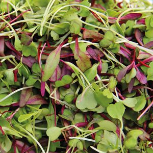 Microgreens