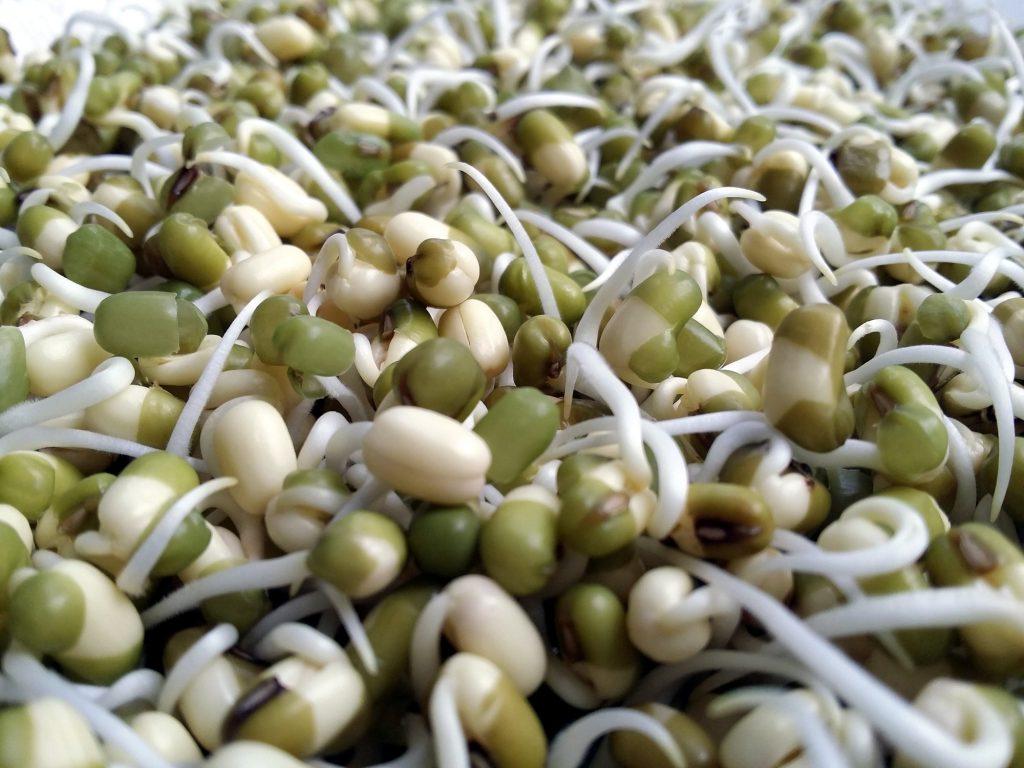 What is the difference between microgreens and sprouts?